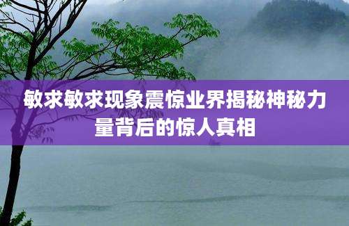 敏求敏求现象震惊业界揭秘神秘力量背后的惊人真相