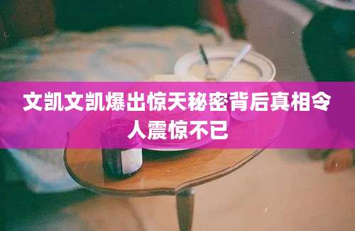 文凯文凯爆出惊天秘密背后真相令人震惊不已