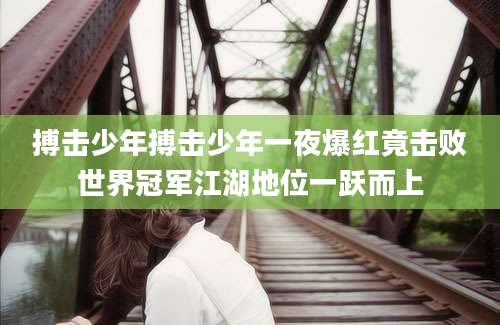 搏击少年搏击少年一夜爆红竟击败世界冠军江湖地位一跃而上