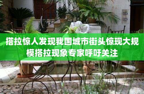 搭拉惊人发现我国城市街头惊现大规模搭拉现象专家呼吁关注