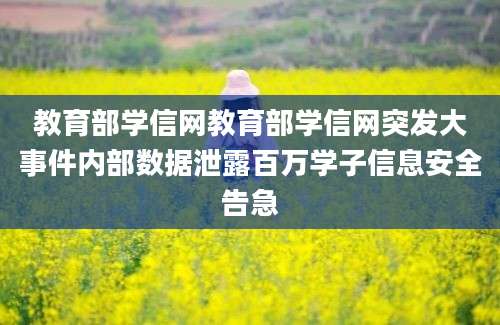 教育部学信网教育部学信网突发大事件内部数据泄露百万学子信息安全告急