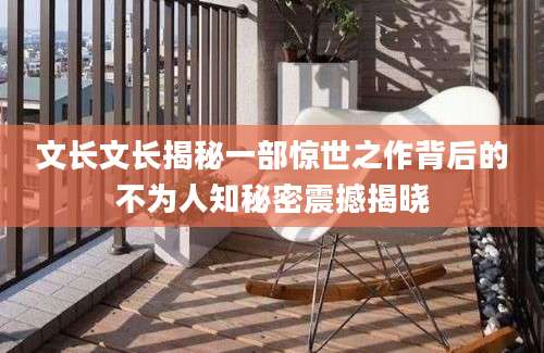 文长文长揭秘一部惊世之作背后的不为人知秘密震撼揭晓