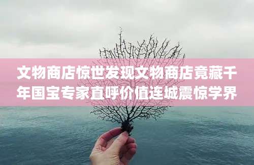 文物商店惊世发现文物商店竟藏千年国宝专家直呼价值连城震惊学界