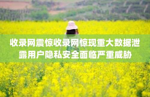 收录网震惊收录网惊现重大数据泄露用户隐私安全面临严重威胁