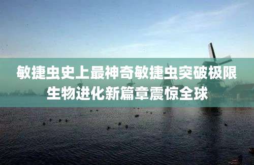 敏捷虫史上最神奇敏捷虫突破极限生物进化新篇章震惊全球