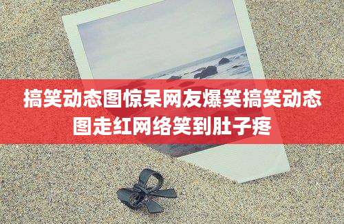 搞笑动态图惊呆网友爆笑搞笑动态图走红网络笑到肚子疼