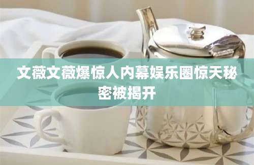 文薇文薇爆惊人内幕娱乐圈惊天秘密被揭开