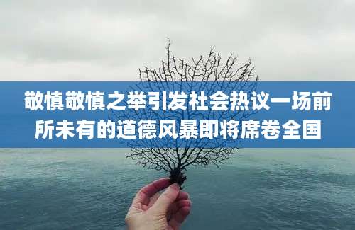 敬慎敬慎之举引发社会热议一场前所未有的道德风暴即将席卷全国