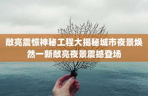 敞亮震惊神秘工程大揭秘城市夜景焕然一新敞亮夜景震撼登场
