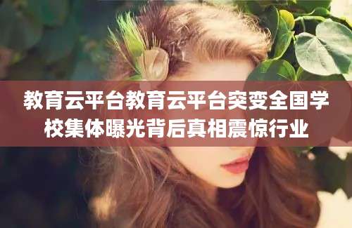 教育云平台教育云平台突变全国学校集体曝光背后真相震惊行业