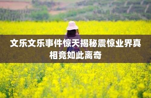 文乐文乐事件惊天揭秘震惊业界真相竟如此离奇