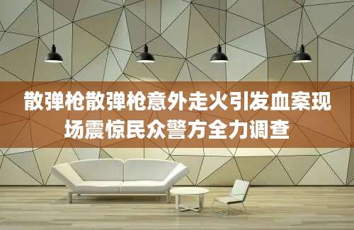 散弹枪散弹枪意外走火引发血案现场震惊民众警方全力调查