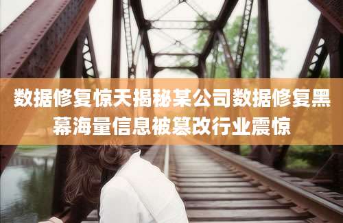 数据修复惊天揭秘某公司数据修复黑幕海量信息被篡改行业震惊