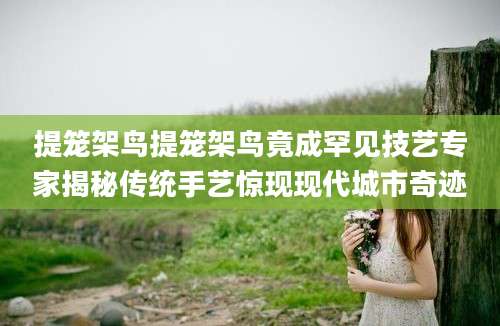 提笼架鸟提笼架鸟竟成罕见技艺专家揭秘传统手艺惊现现代城市奇迹