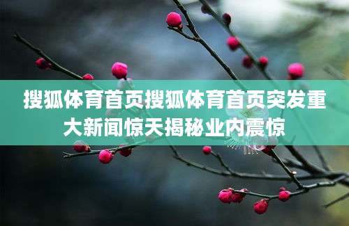 搜狐体育首页搜狐体育首页突发重大新闻惊天揭秘业内震惊