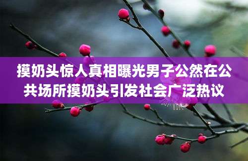 摸奶头惊人真相曝光男子公然在公共场所摸奶头引发社会广泛热议