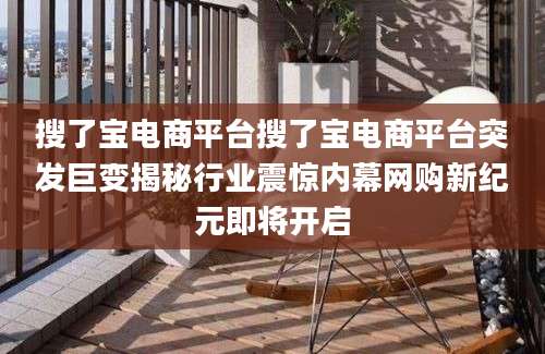 搜了宝电商平台搜了宝电商平台突发巨变揭秘行业震惊内幕网购新纪元即将开启
