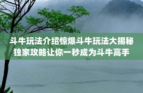 斗牛玩法介绍惊爆斗牛玩法大揭秘独家攻略让你一秒成为斗牛高手
