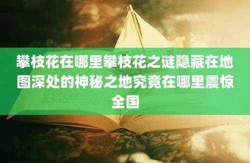 攀枝花在哪里攀枝花之谜隐藏在地图深处的神秘之地究竟在哪里震惊全国