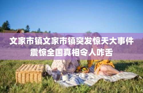 文家市镇文家市镇突发惊天大事件震惊全国真相令人咋舌