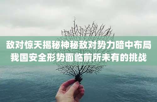 敌对惊天揭秘神秘敌对势力暗中布局我国安全形势面临前所未有的挑战