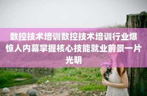 数控技术培训数控技术培训行业爆惊人内幕掌握核心技能就业前景一片光明