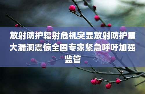 放射防护辐射危机突显放射防护重大漏洞震惊全国专家紧急呼吁加强监管