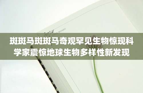 斑斑马斑斑马奇观罕见生物惊现科学家震惊地球生物多样性新发现