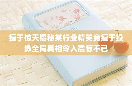 擅于惊天揭秘某行业精英竟擅于操纵全局真相令人震惊不已