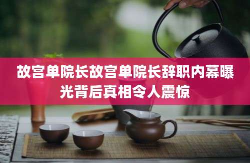 故宫单院长故宫单院长辞职内幕曝光背后真相令人震惊