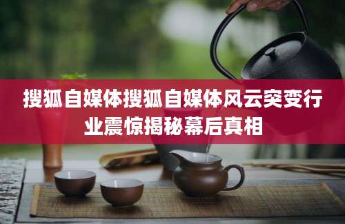 搜狐自媒体搜狐自媒体风云突变行业震惊揭秘幕后真相