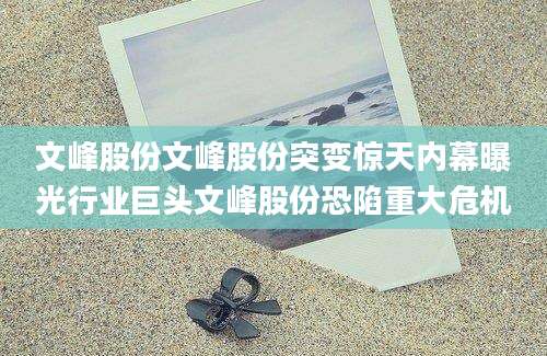 文峰股份文峰股份突变惊天内幕曝光行业巨头文峰股份恐陷重大危机