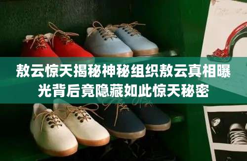 敖云惊天揭秘神秘组织敖云真相曝光背后竟隐藏如此惊天秘密