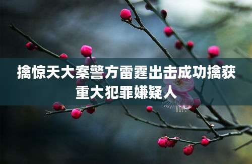 擒惊天大案警方雷霆出击成功擒获重大犯罪嫌疑人