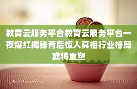 教育云服务平台教育云服务平台一夜爆红揭秘背后惊人真相行业格局或将重塑