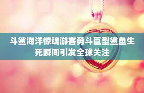斗鲨海洋惊魂游客勇斗巨型鲨鱼生死瞬间引发全球关注