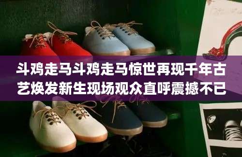 斗鸡走马斗鸡走马惊世再现千年古艺焕发新生现场观众直呼震撼不已