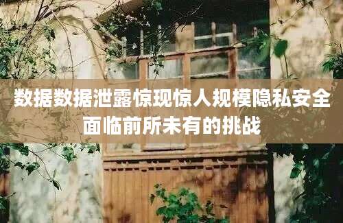 数据数据泄露惊现惊人规模隐私安全面临前所未有的挑战