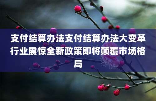 支付结算办法支付结算办法大变革行业震惊全新政策即将颠覆市场格局