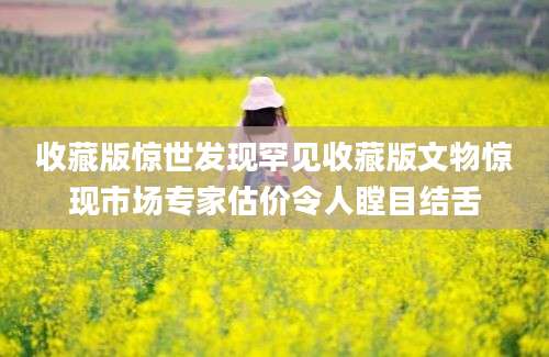 收藏版惊世发现罕见收藏版文物惊现市场专家估价令人瞠目结舌
