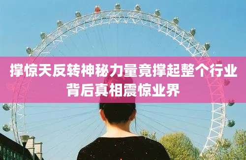 撑惊天反转神秘力量竟撑起整个行业背后真相震惊业界