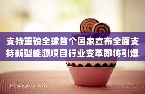 支持重磅全球首个国家宣布全面支持新型能源项目行业变革即将引爆