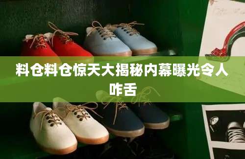 料仓料仓惊天大揭秘内幕曝光令人咋舌