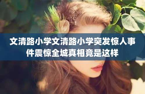文清路小学文清路小学突发惊人事件震惊全城真相竟是这样