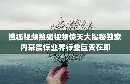 搜狐视频搜狐视频惊天大揭秘独家内幕震惊业界行业巨变在即