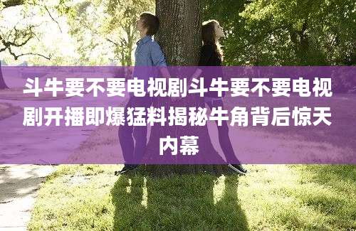斗牛要不要电视剧斗牛要不要电视剧开播即爆猛料揭秘牛角背后惊天内幕