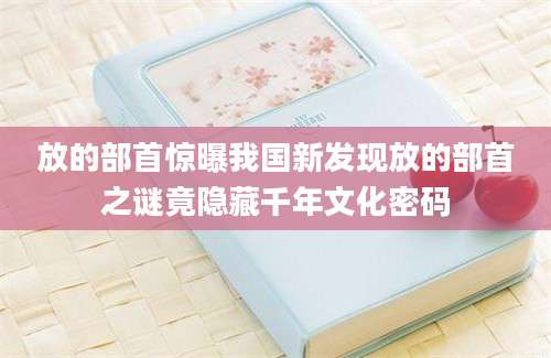放的部首惊曝我国新发现放的部首之谜竟隐藏千年文化密码
