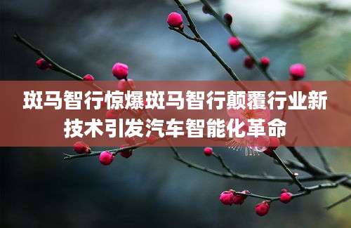 斑马智行惊爆斑马智行颠覆行业新技术引发汽车智能化革命