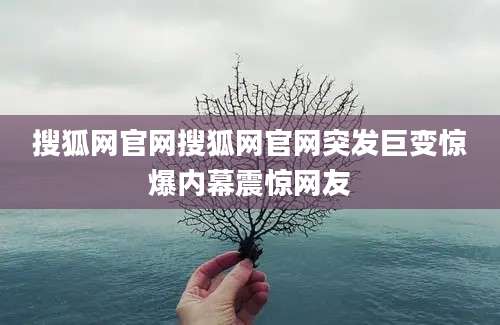 搜狐网官网搜狐网官网突发巨变惊爆内幕震惊网友