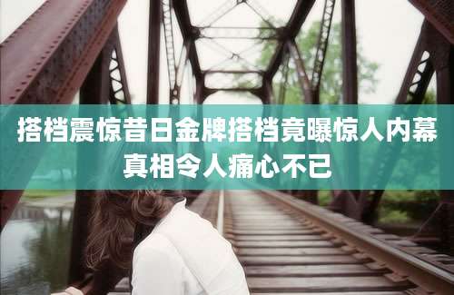搭档震惊昔日金牌搭档竟曝惊人内幕真相令人痛心不已